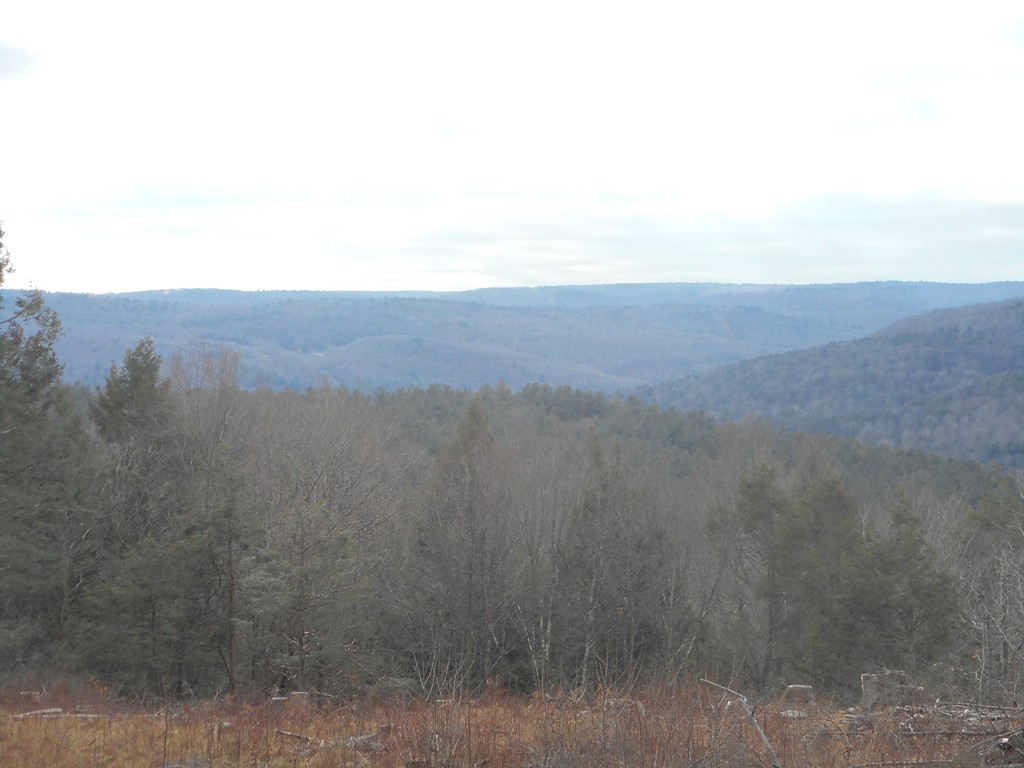 Lot C County Road Huntington, MA 01050 - Photo 7 of 8 Gallery Image 7