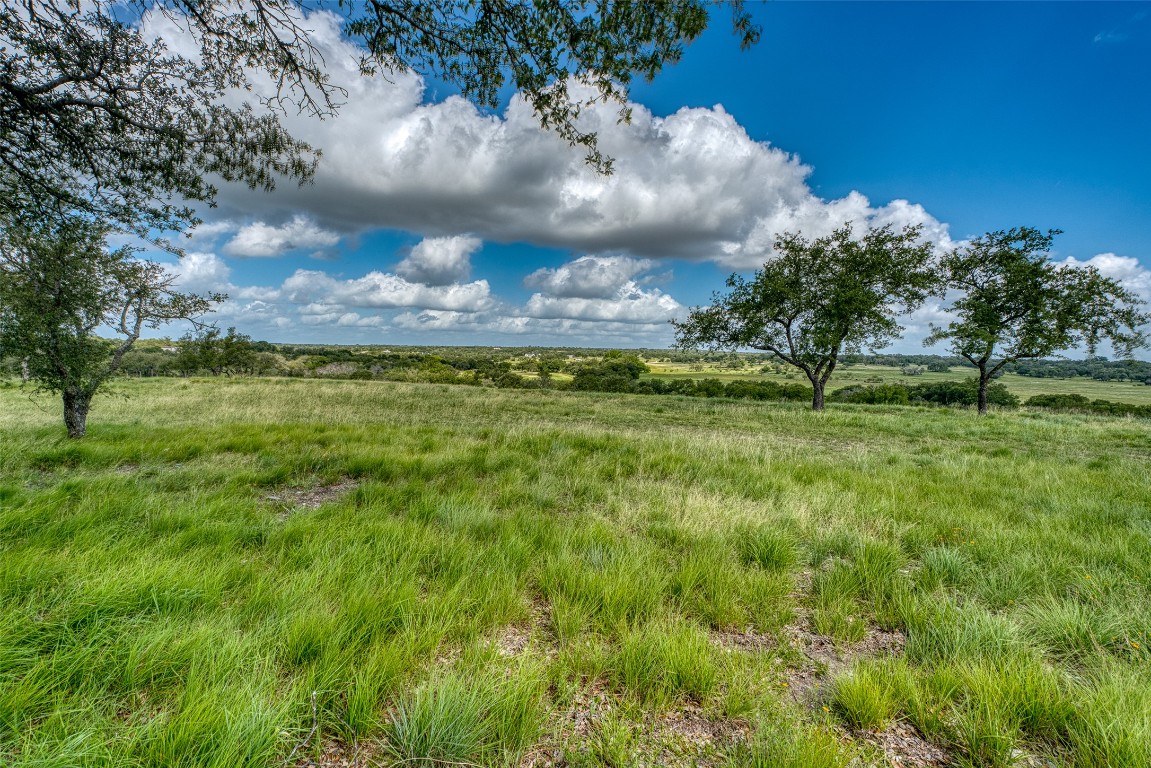 191 Pivot Circle Briggs, TX 78608 - Photo 15 of 19