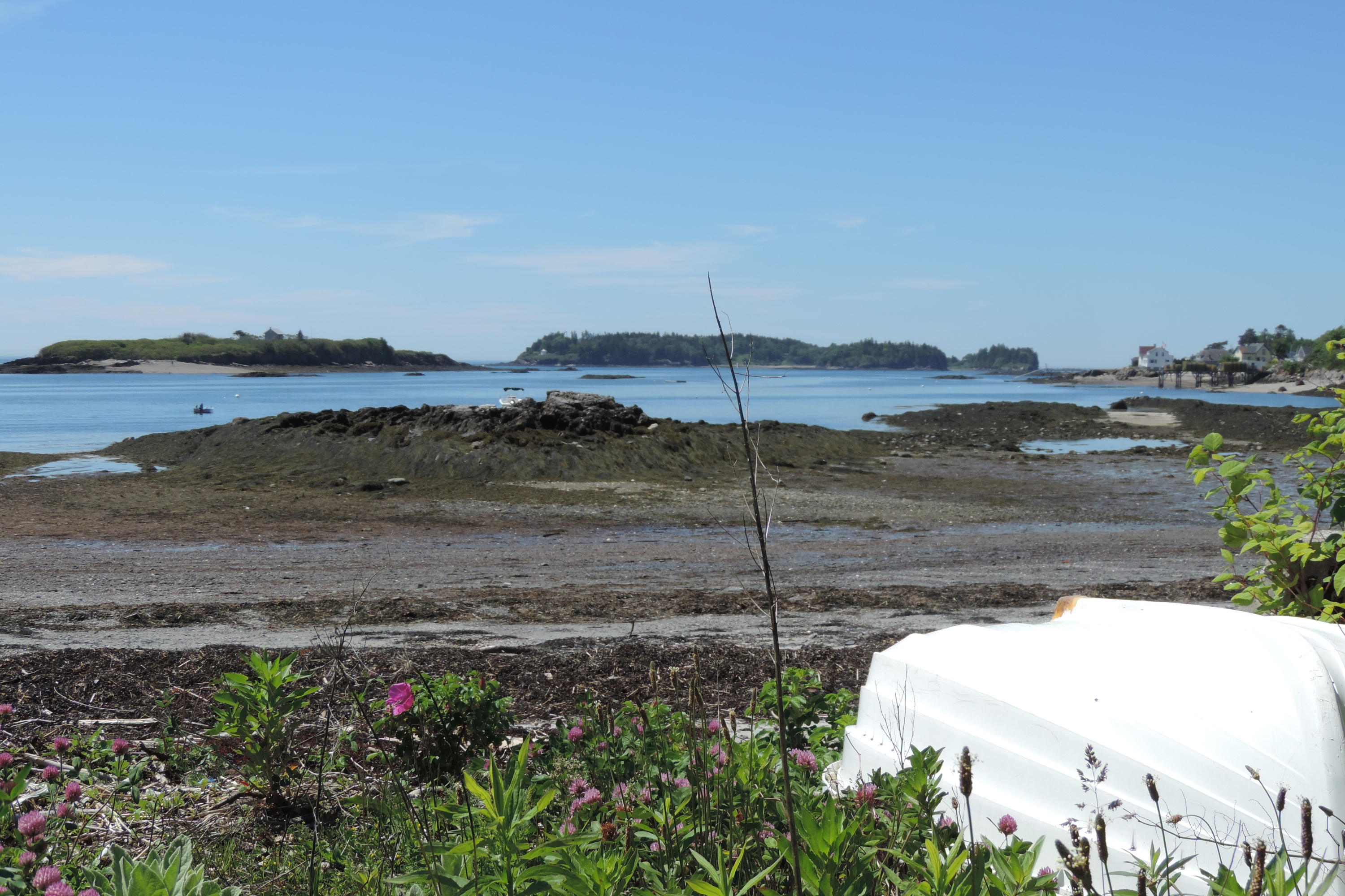 20 Graveyard Point Road Harpswell, ME 04079 - Photo 7 of 18 DSCN5961