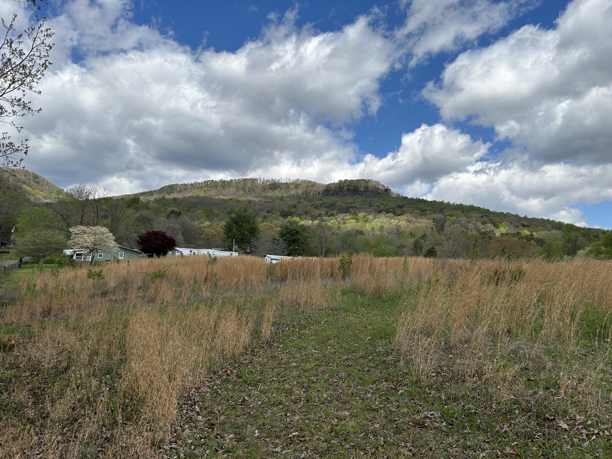 222 Waterfall Road Sequatchie, TN 37374 - Photo 13 of 34 Gallery Image 13