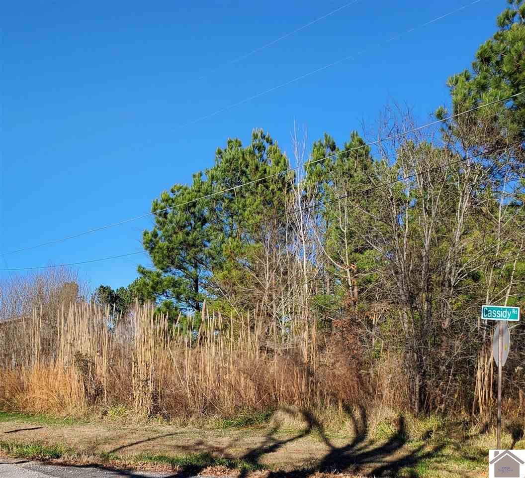 0 Beasley Road, Unit 13 BLOCK 22 Buchanan, TN 38222 - Photo 1 of 1 Corner of Beasley and Cassidy - facing Beasley