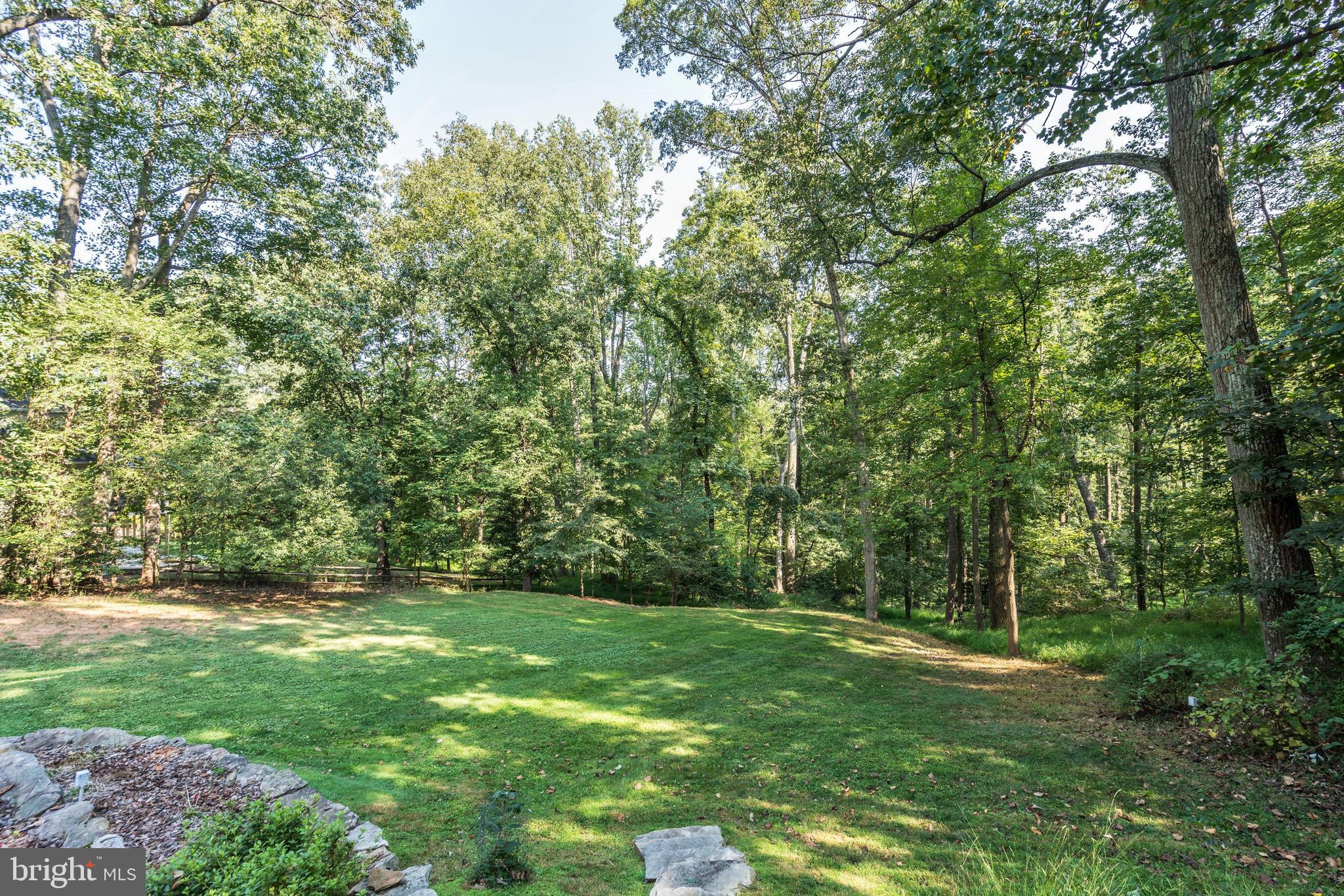 8643 Overlook Road McLean, VA 22102 - Photo 43 of 45 Back Yard