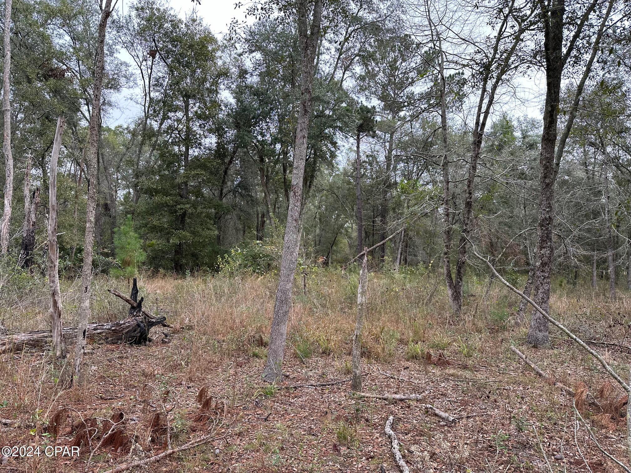 0 Baxter Road Malone, FL 32445 - Photo 3 of 11 Gallery Image 3