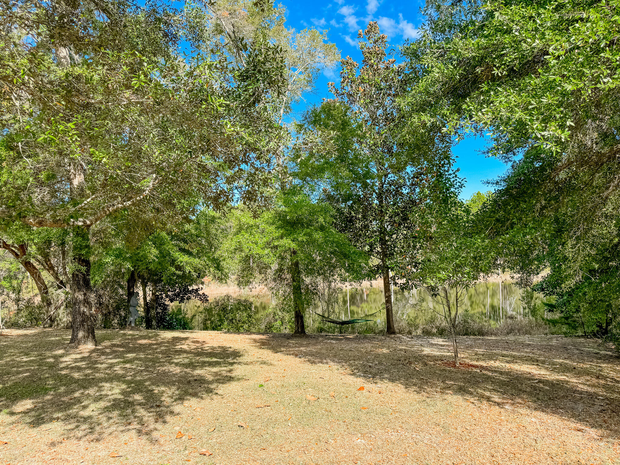 462 Mango Lane Freeport, FL 32439 - Photo 31 of 67 a view of a yard with plants and trees