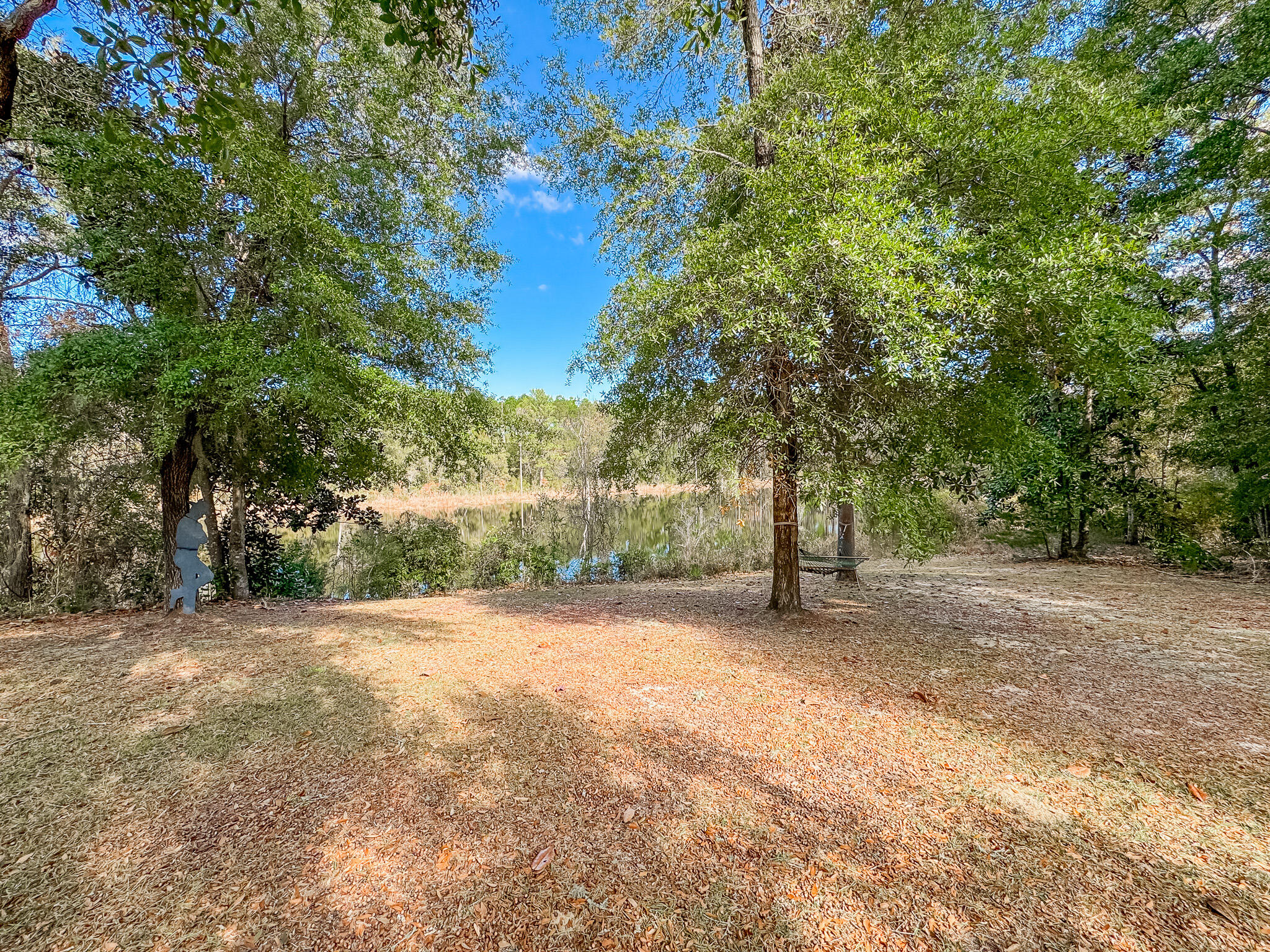462 Mango Lane Freeport, FL 32439 - Photo 36 of 67 a view of a field with trees in front of it