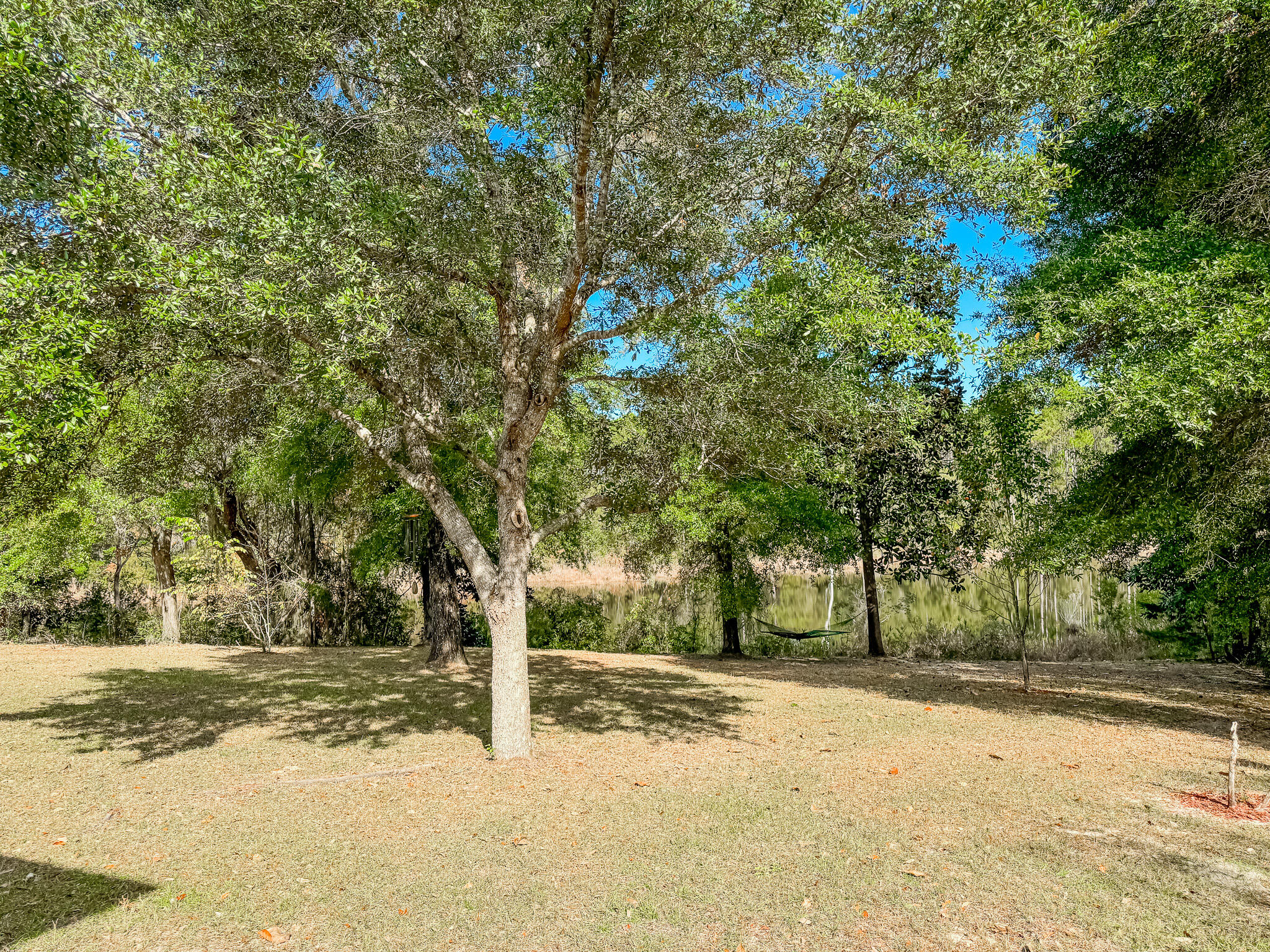 462 Mango Lane Freeport, FL 32439 - Photo 37 of 67 a view of a yard with trees