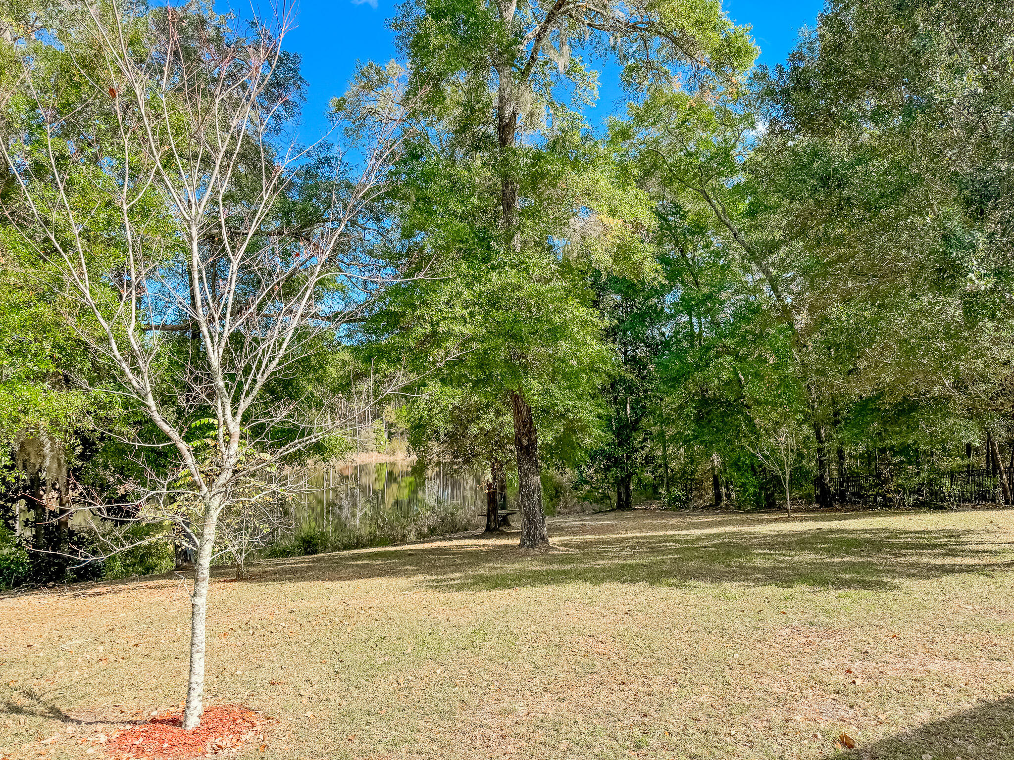 462 Mango Lane Freeport, FL 32439 - Photo 38 of 67 a view of a yard