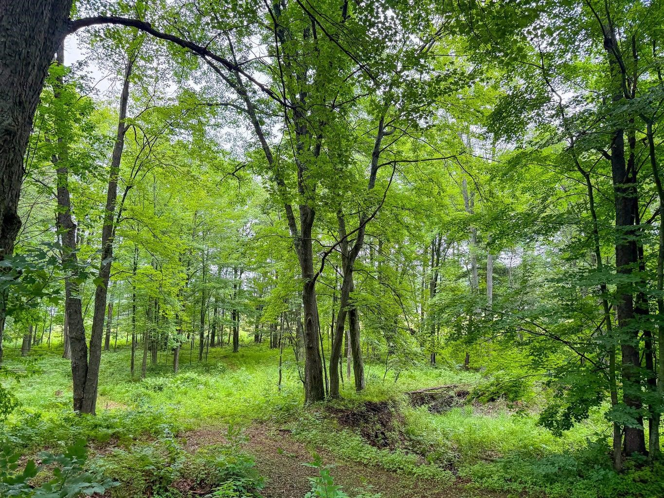 600 Clear Lake Road West Branch, MI 48661 - Photo 24 of 33 1947227-2df69124-03b5-476e-8eb8-370406c0954f.JPG