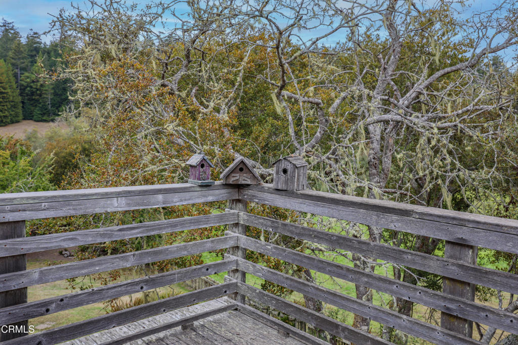 31600 Little Valley Road Fort Bragg, CA 95437 - Photo 64 of 75 BK6A3111 copy