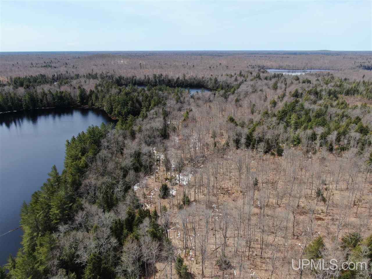 0 Old Seney Road Seney, MI 49883 - Photo 5 of 31