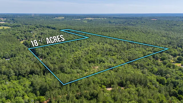 a view of a green landscape from a balcony