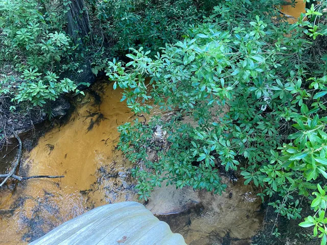 a view of swimming pool with a yard