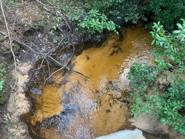 a backyard of a house with lots of trees