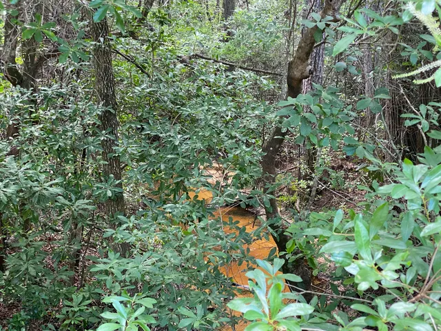 a plant with a plant