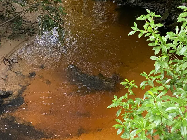 $175,000 | 18 Canyon Trail, Baker, FL 32531