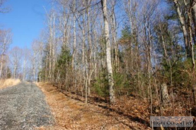 Walter Blevins Road Lansing, NC 28643 - Photo 1 of 2 a view of a yard with trees