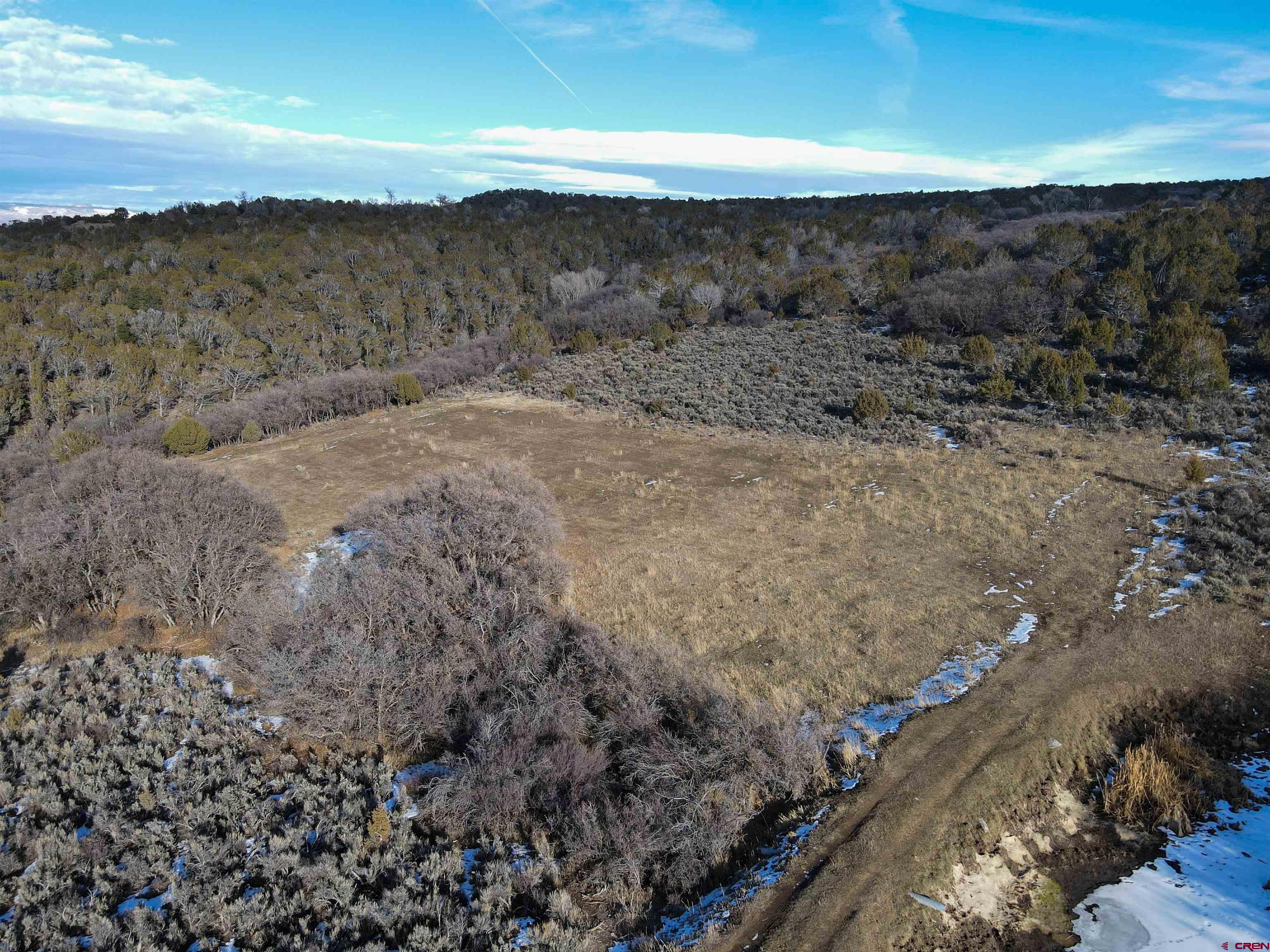 Tbd 56 1/4 Road Molina, CO 81646 - Photo 2 of 44 a view of a dry yard with wooden floor
