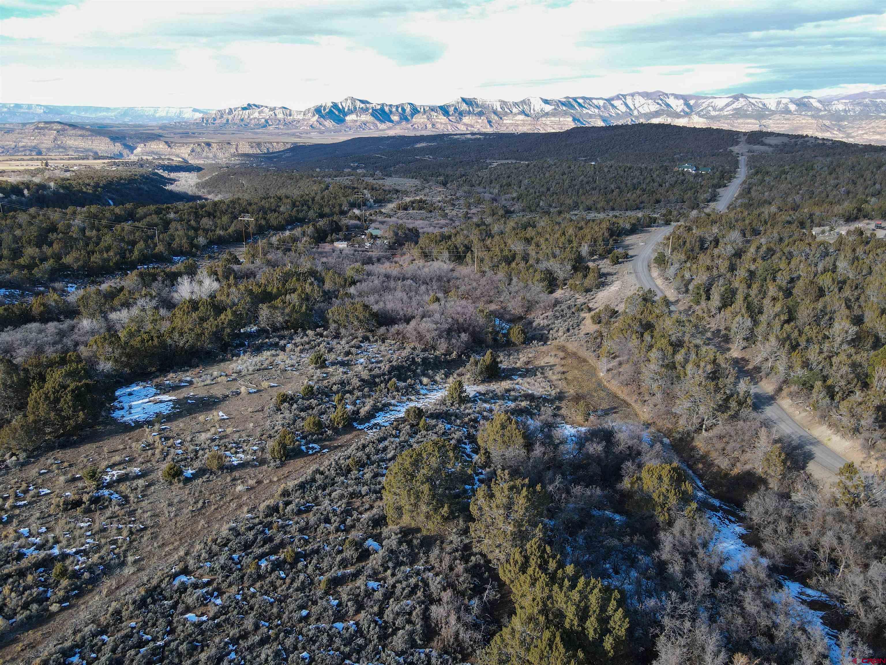 Tbd 56 1/4 Road Molina, CO 81646 - Photo 23 of 44 a view of mountain view with lots of trees