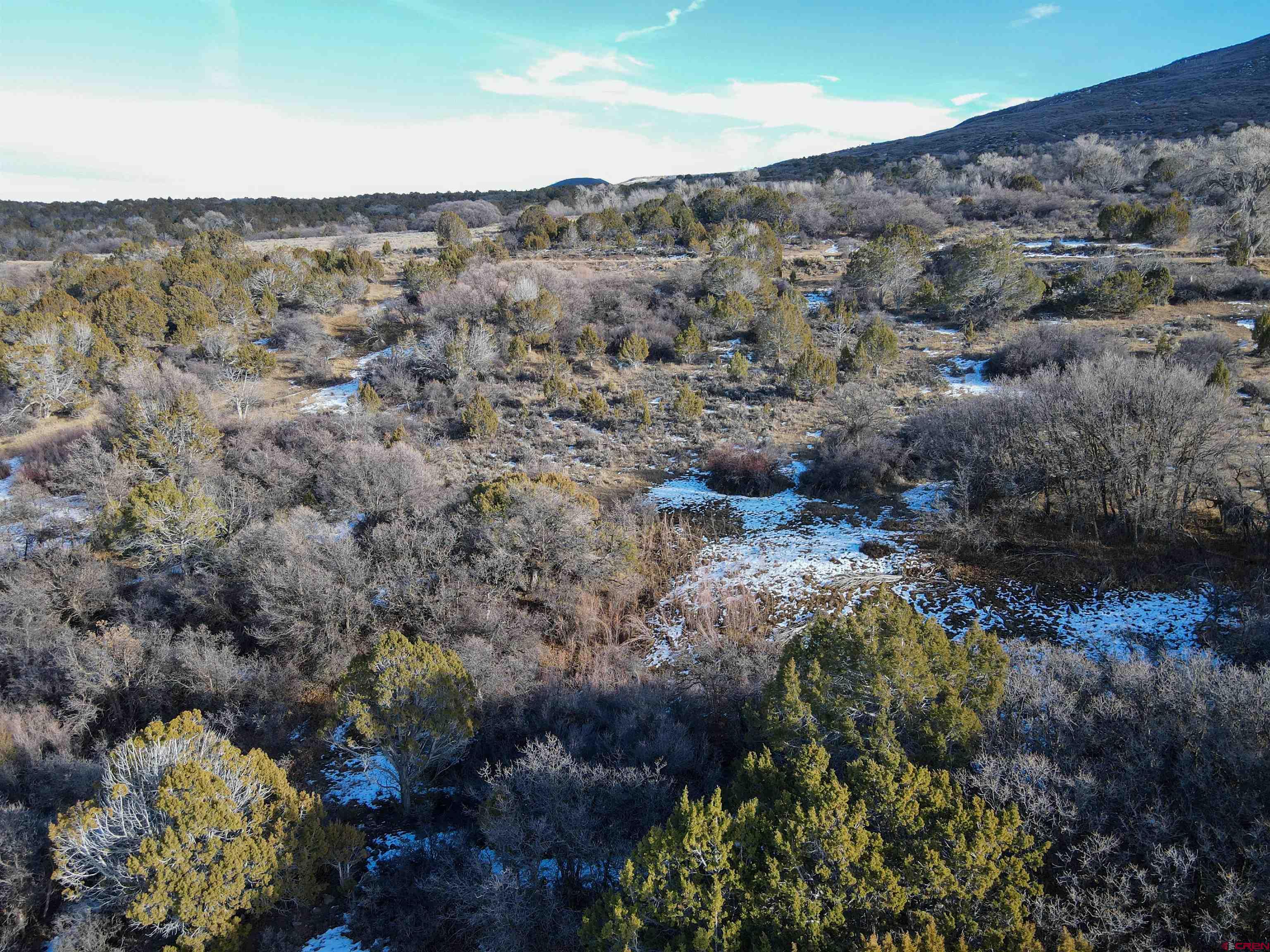 Tbd 56 1/4 Road Molina, CO 81646 - Photo 36 of 44 a view of a bunch of flowers and trees