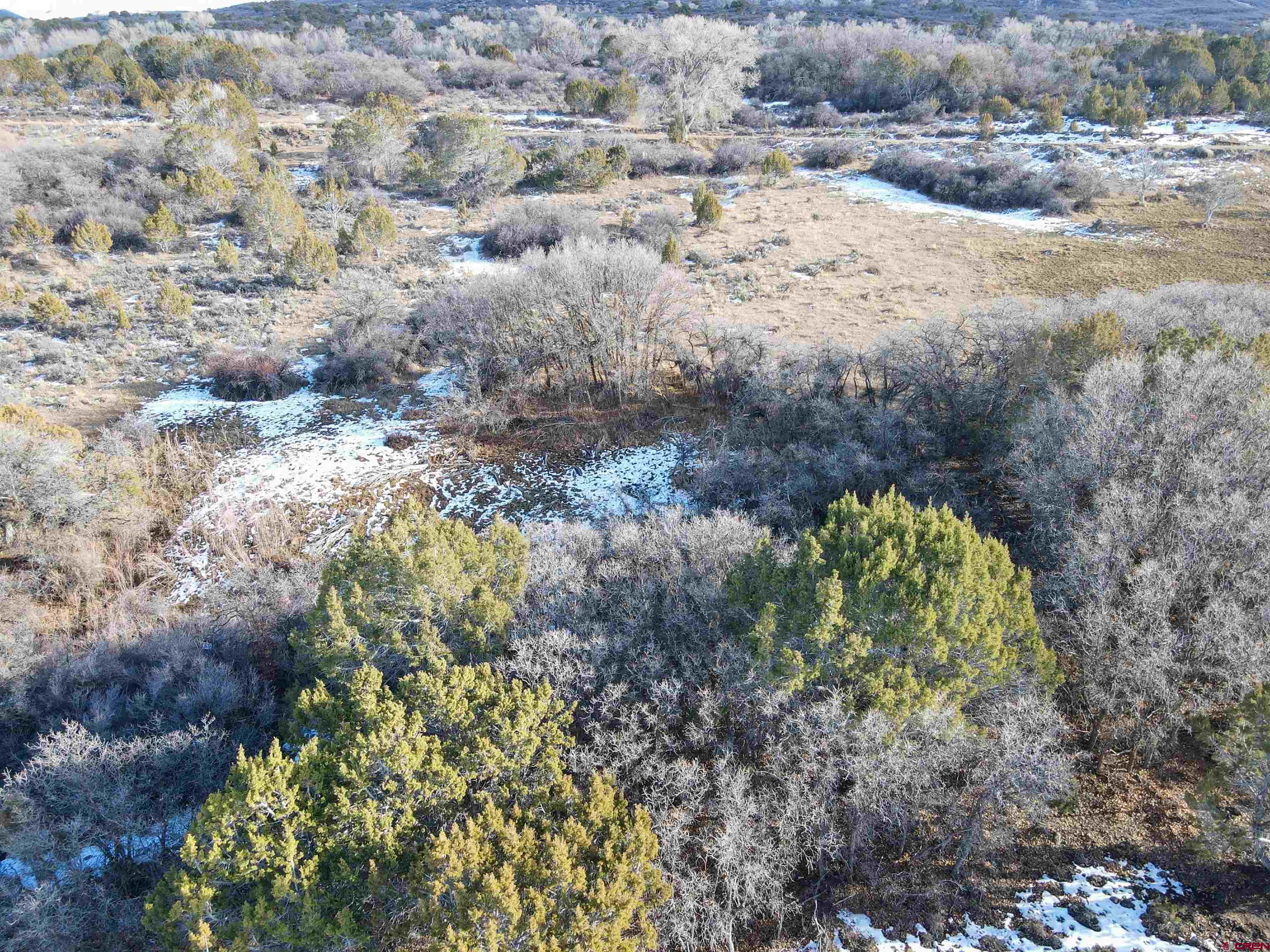 Tbd 56 1/4 Road Molina, CO 81646 - Photo 39 of 44 a view of a dry yard