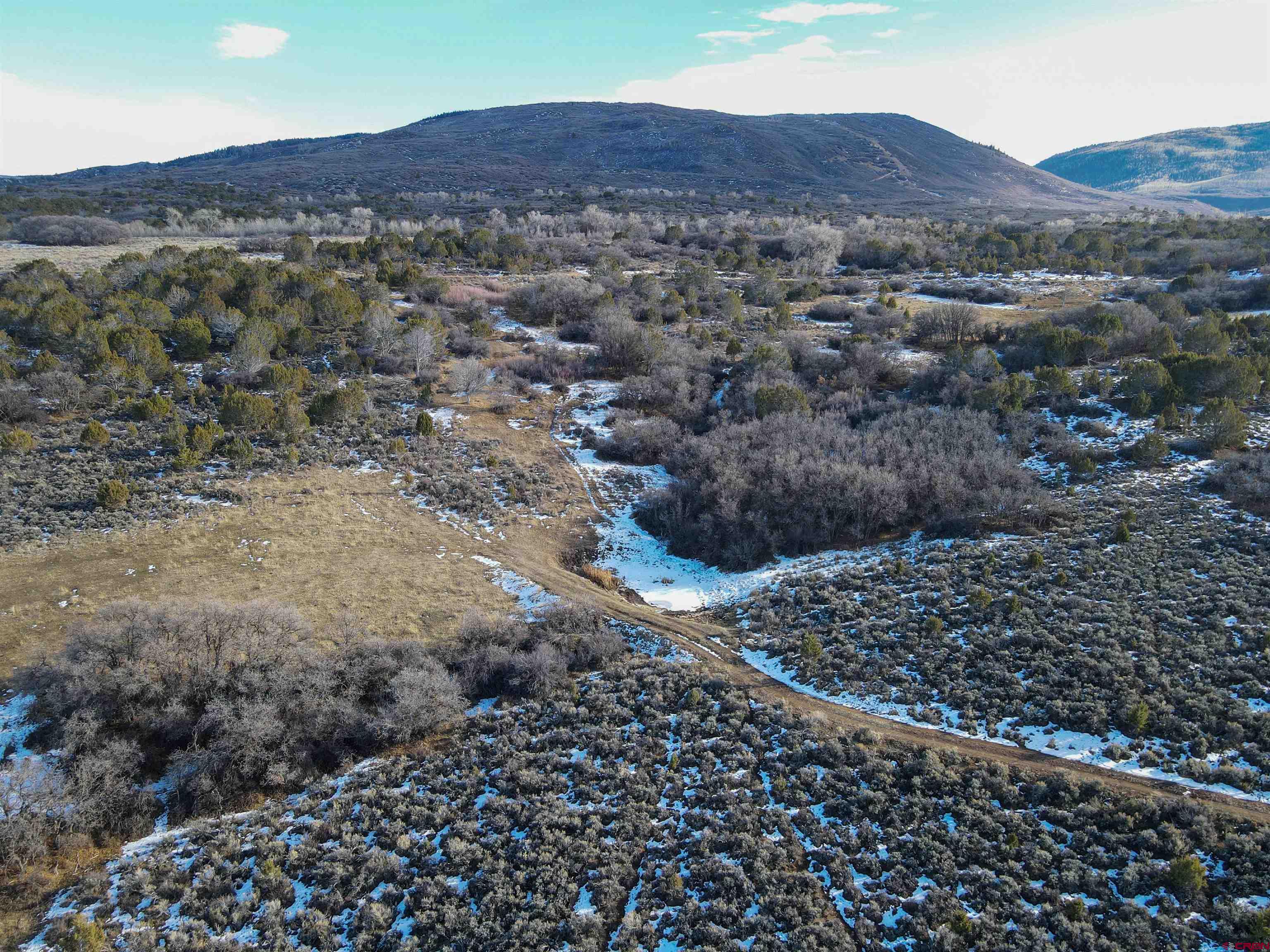 Tbd 56 1/4 Road Molina, CO 81646 - Photo 41 of 44 a view of a large tree in a field