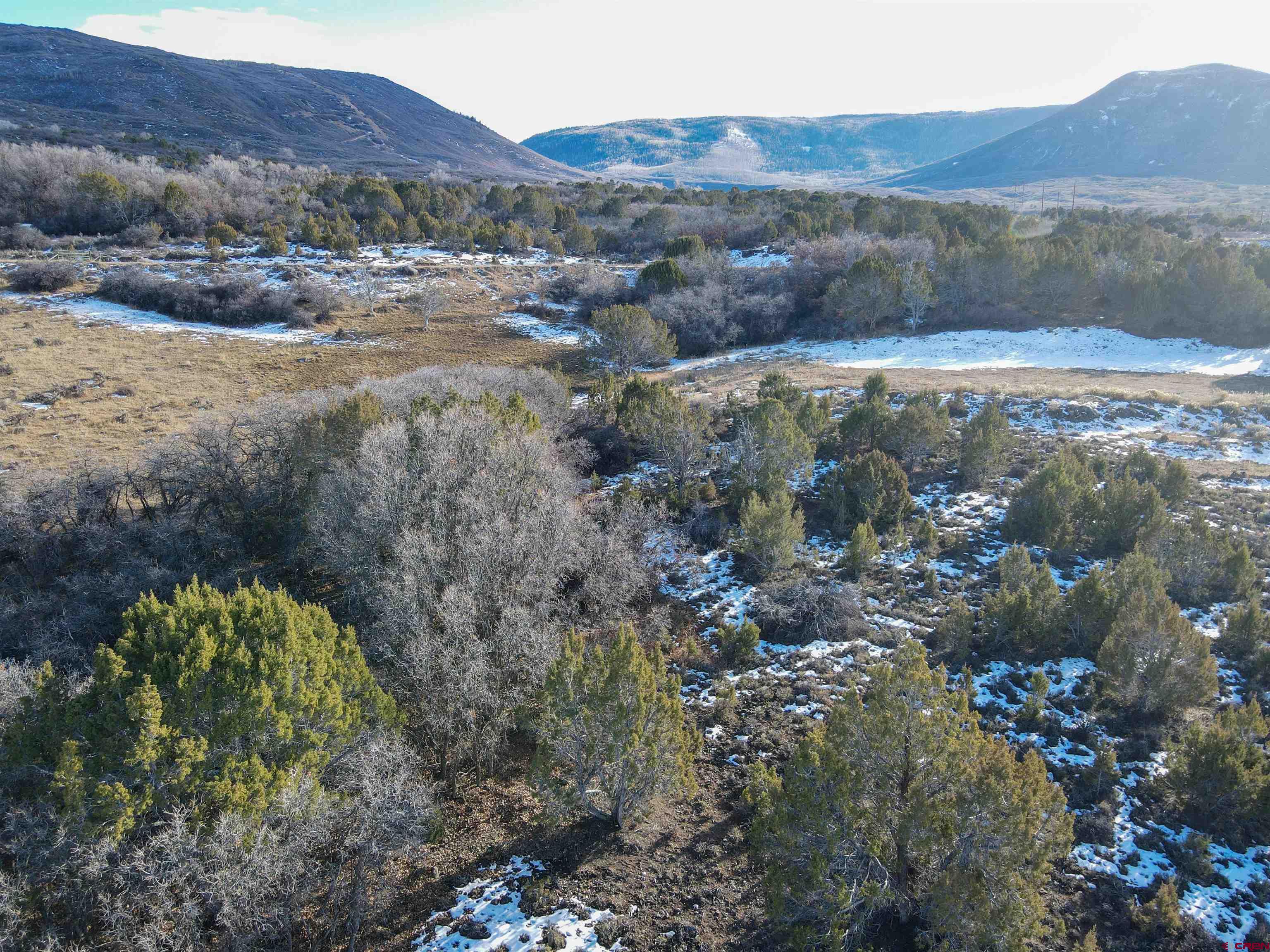 Tbd 56 1/4 Road Molina, CO 81646 - Photo 44 of 44 a view of a forest with a mountain