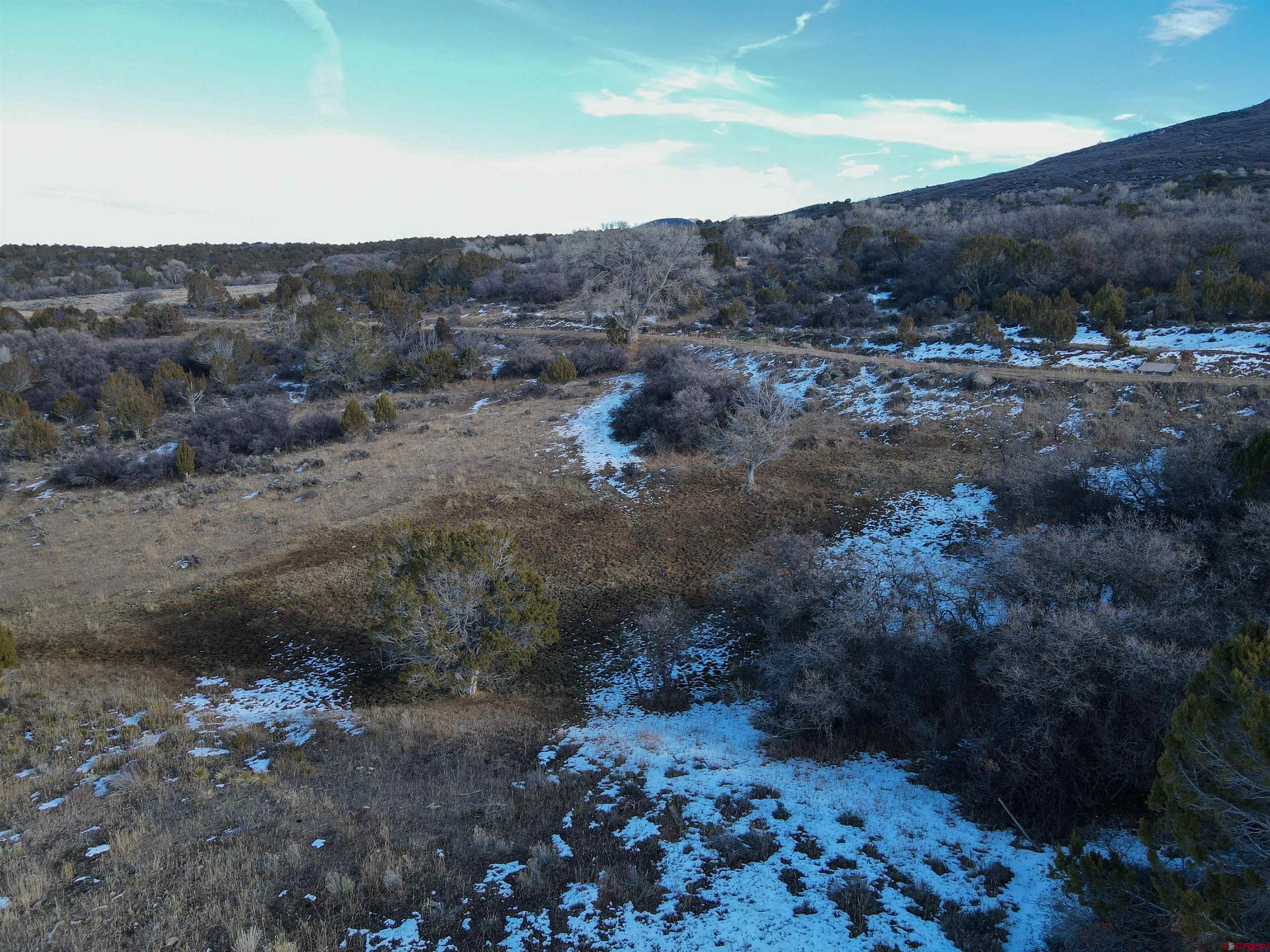 Tbd 56 1/4 Road Molina, CO 81646 - Photo 6 of 44 a view of a dry yard with trees