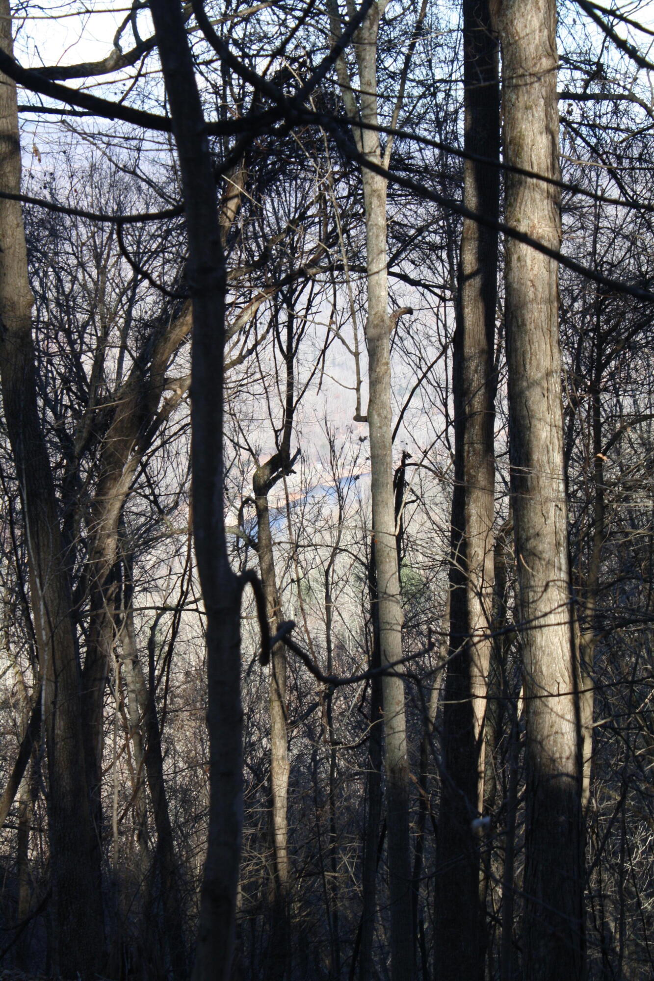Zion Mountain Road Hinton, WV 25951 - Photo 40 of 73 Gallery Image 40