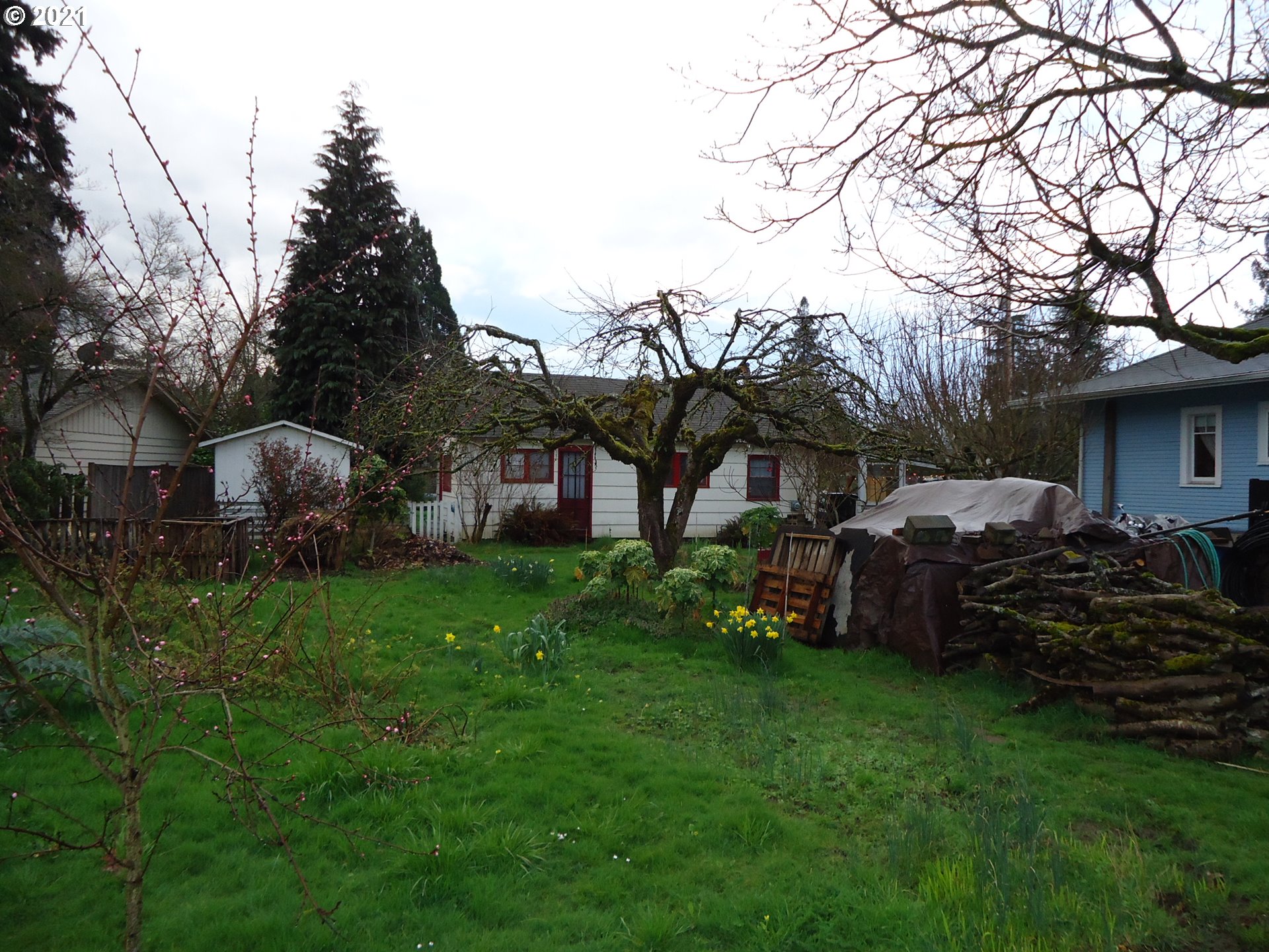 2959 River Road Eugene, OR 97404 - Photo 18 of 20 Gallery Image 18