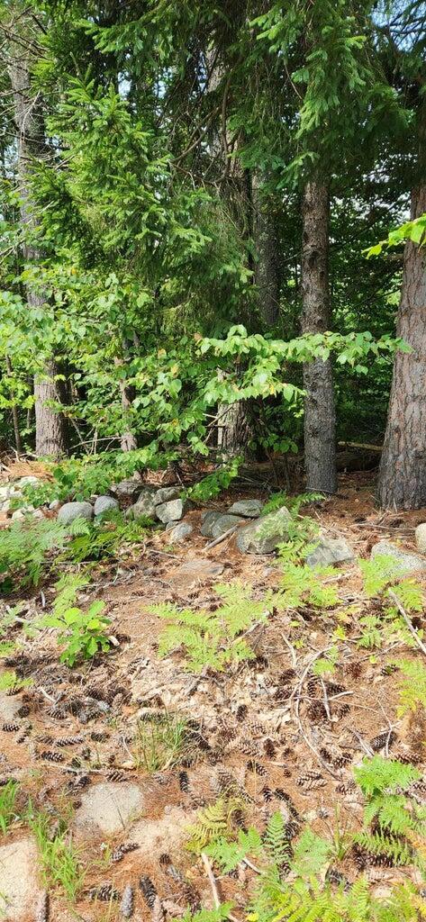 Lot#33 Shore Acres Road Parsonsfield, ME 04047 - Photo 5 of 5 Shore Acres 5