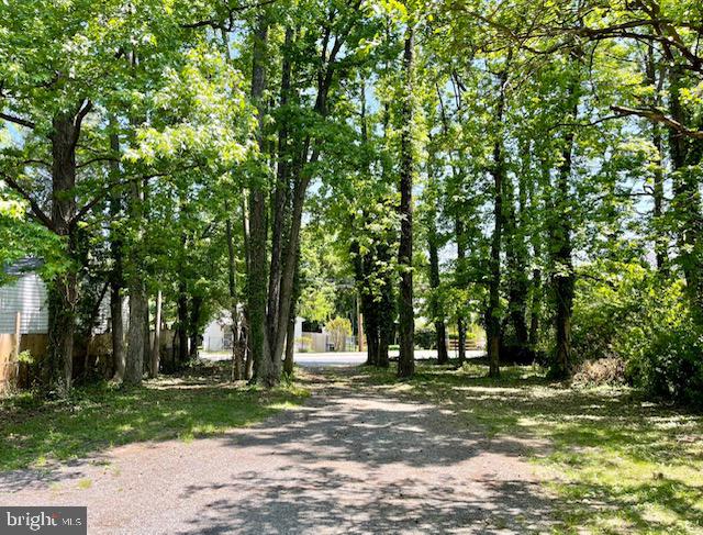 918 Nichols Drive Laurel, MD 20707 - Photo 105 of 107 Backyard View to Rear Parking & Wooded Area
