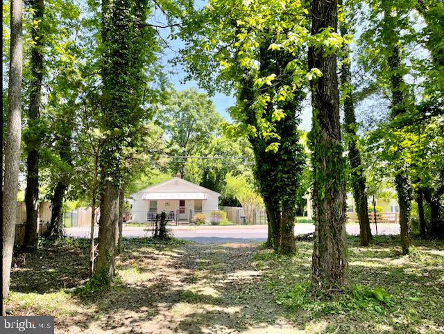 918 Nichols Drive Laurel, MD 20707 - Photo 106 of 107 Backyard View to Rear Street
