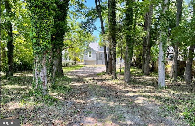 918 Nichols Drive Laurel, MD 20707 - Photo 107 of 107 Backyard Woods