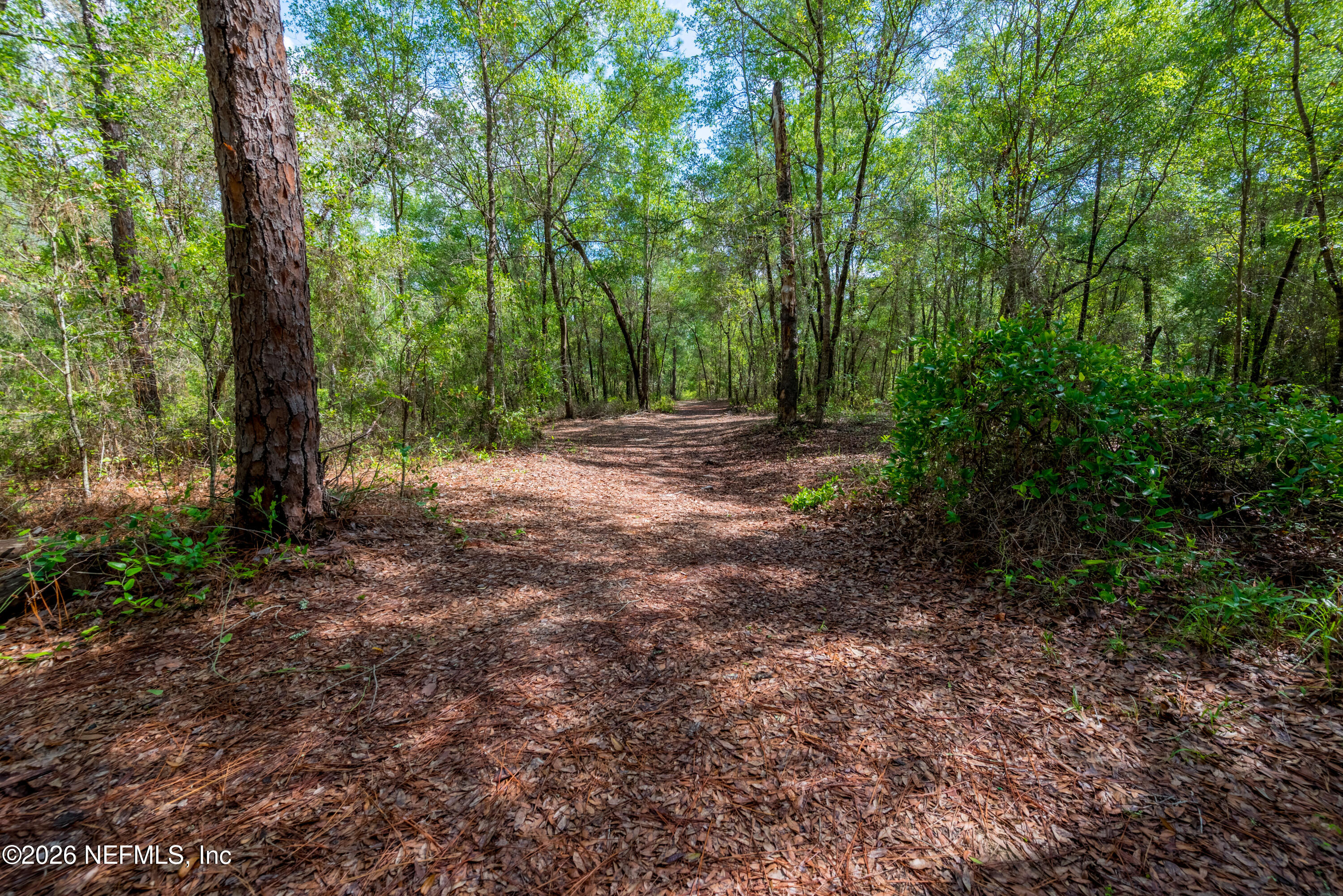 Tbd Lot 5 Southeast Tbd Loop Keystone Heights, FL 32656 - Photo 18 of 20 SE 46th Loop Parcels-6
