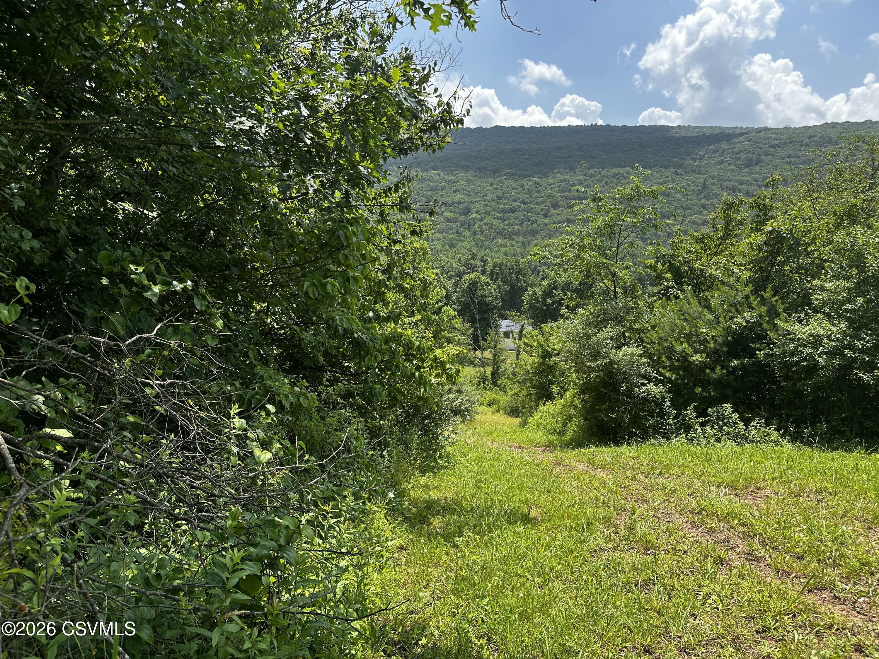 Lower Road Shamokin, PA 17872 - Photo 6 of 8