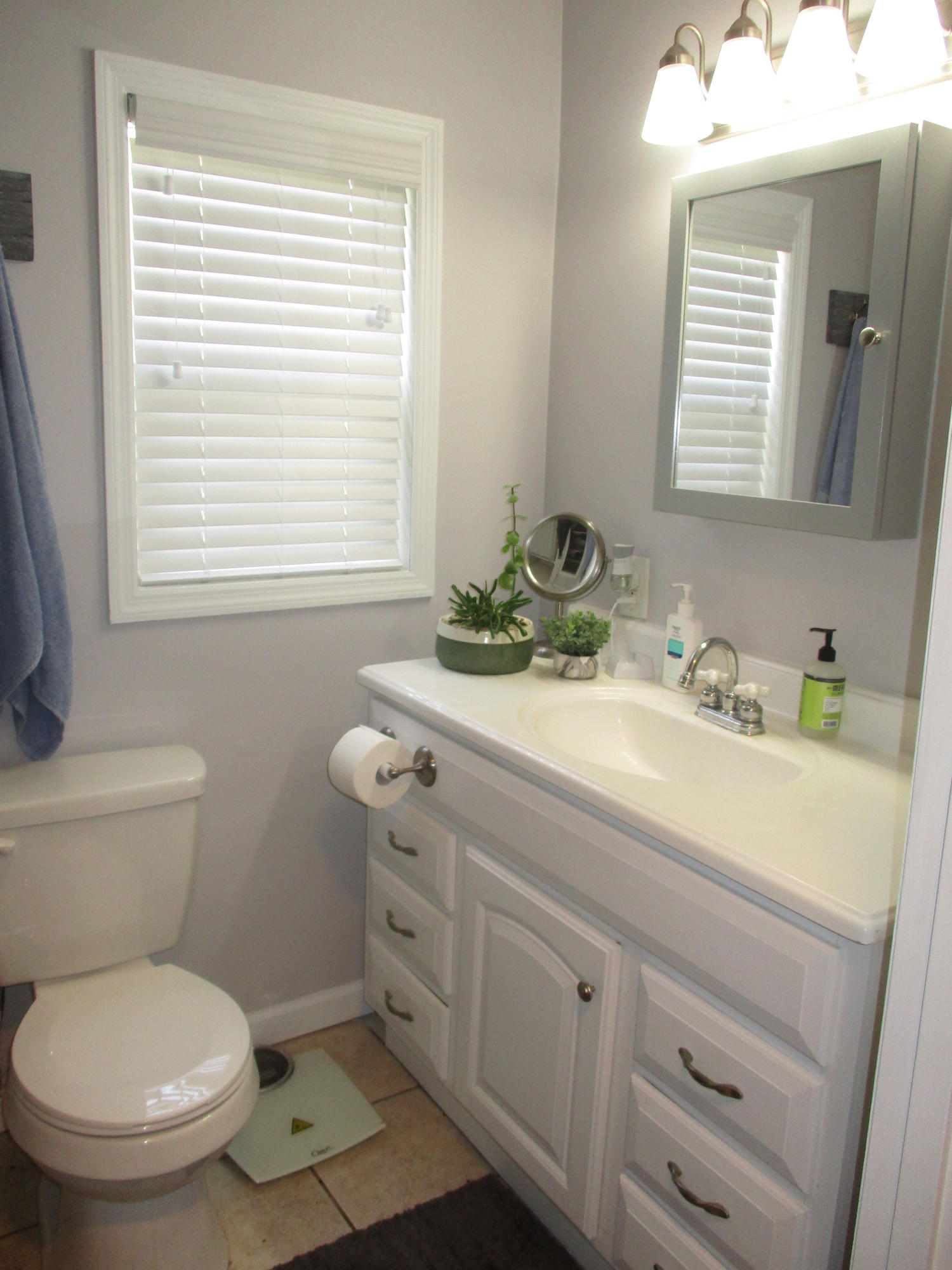 554 Farrell Street Moncks Corner, SC 29461 - Photo 24 of 49 IMG_0033
