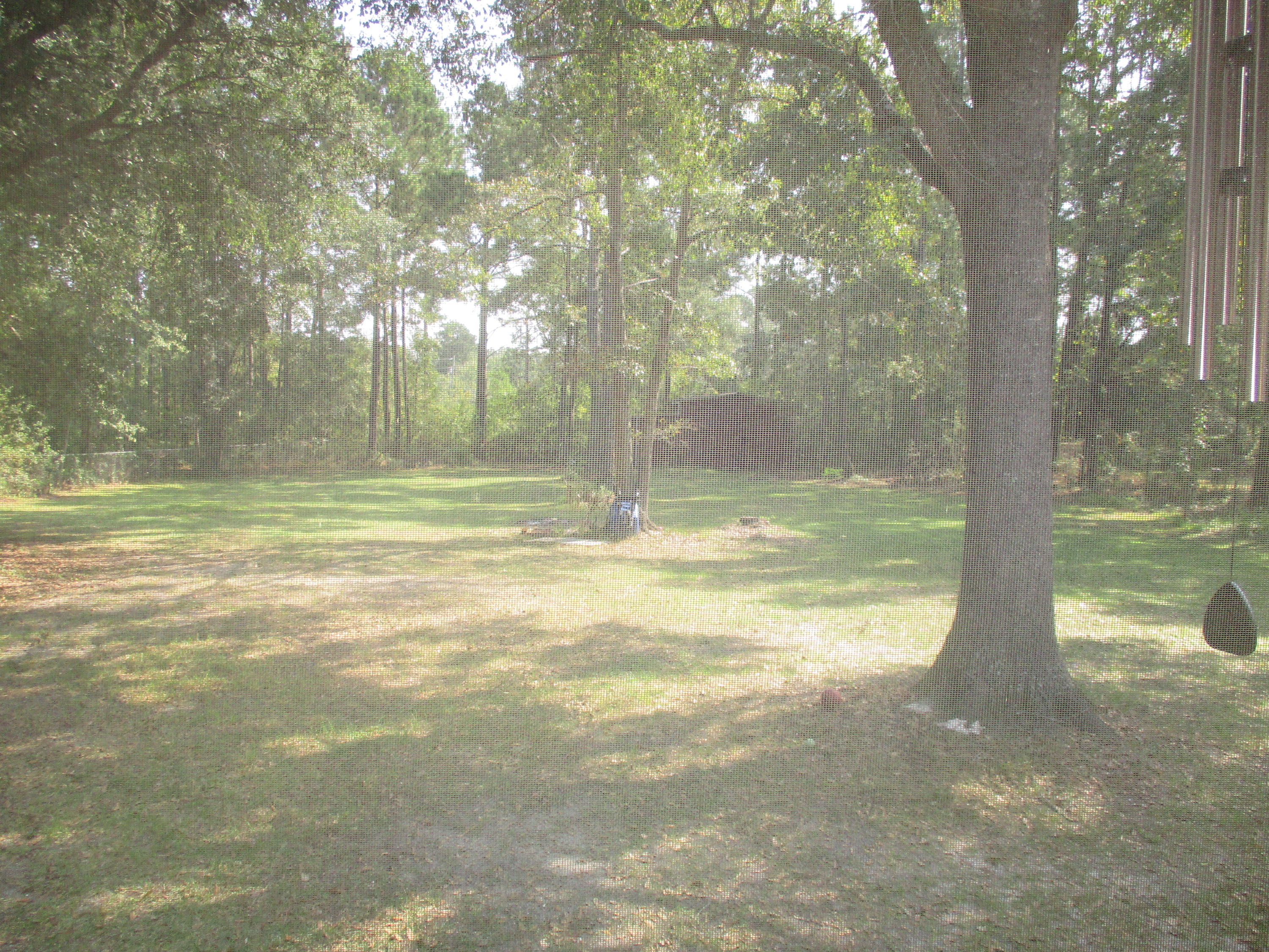554 Farrell Street Moncks Corner, SC 29461 - Photo 42 of 49 IMG_0052