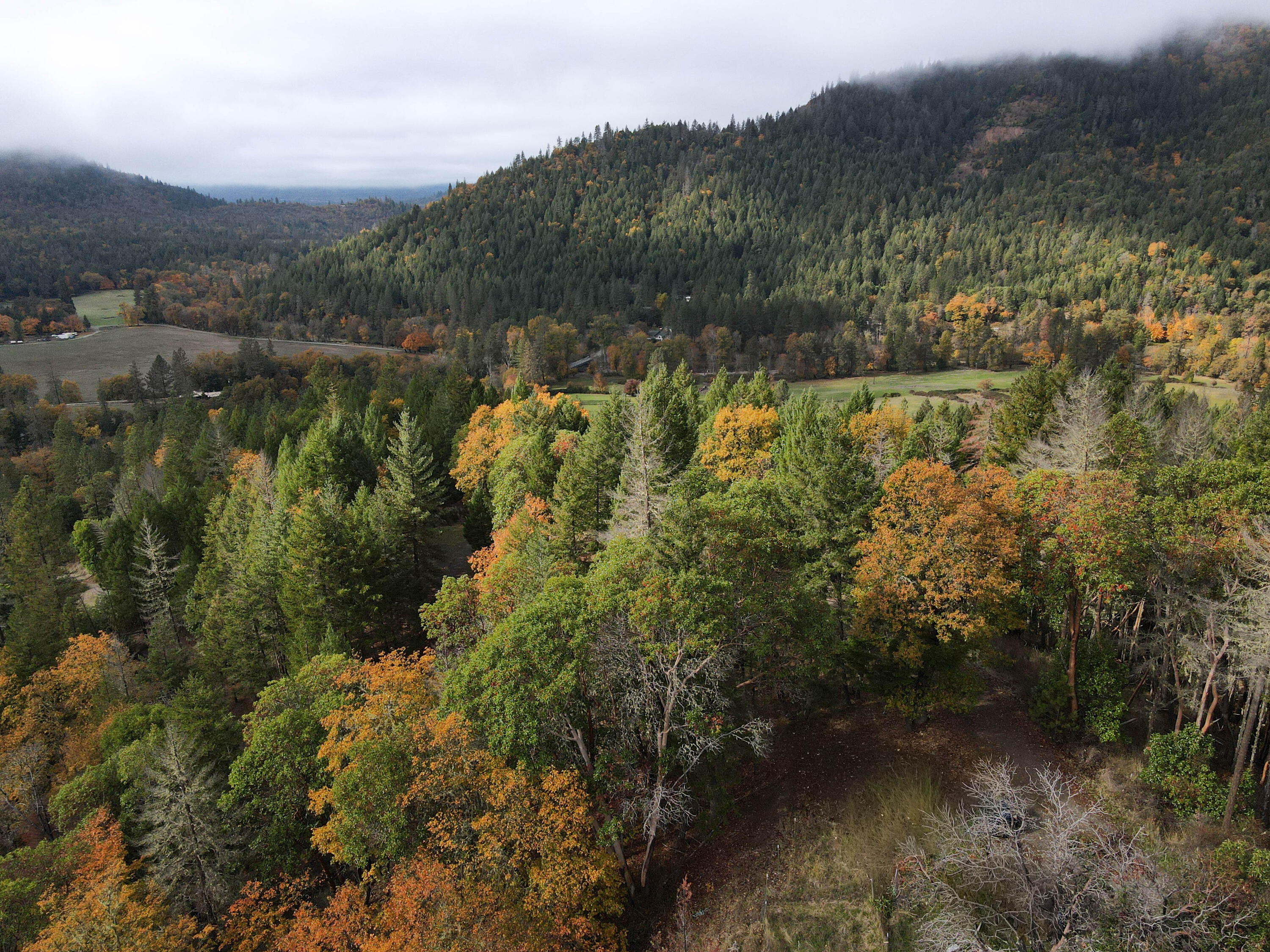 427 Murphy Gulch Road Rogue River, OR 97537 - Photo 32 of 33 31