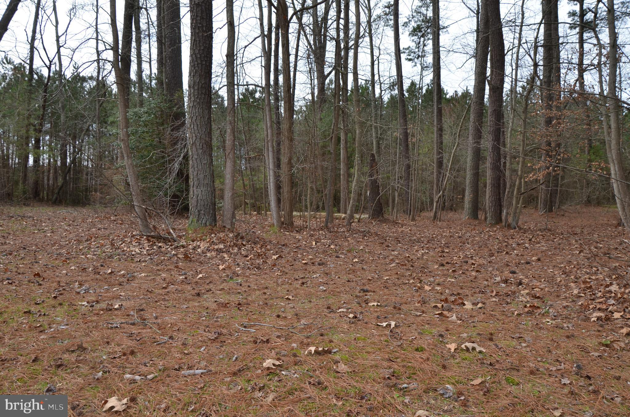 45 South Glebe Road Montross, VA 22520 - Photo 1 of 9 Gallery Image 1
