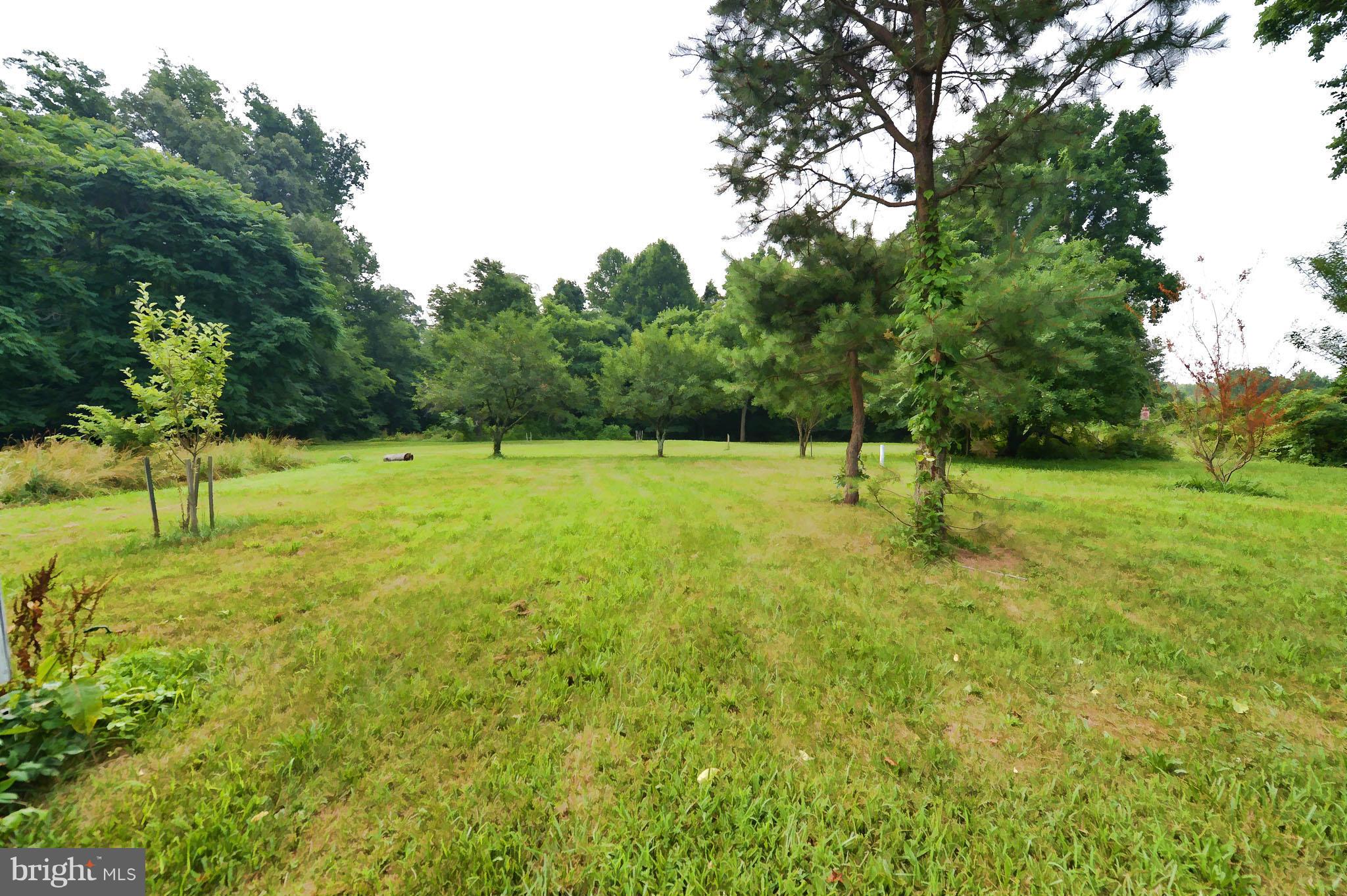2466 Theodore Road North East, MD 21901 - Photo 9 of 22 a view of an outdoor space and a yard