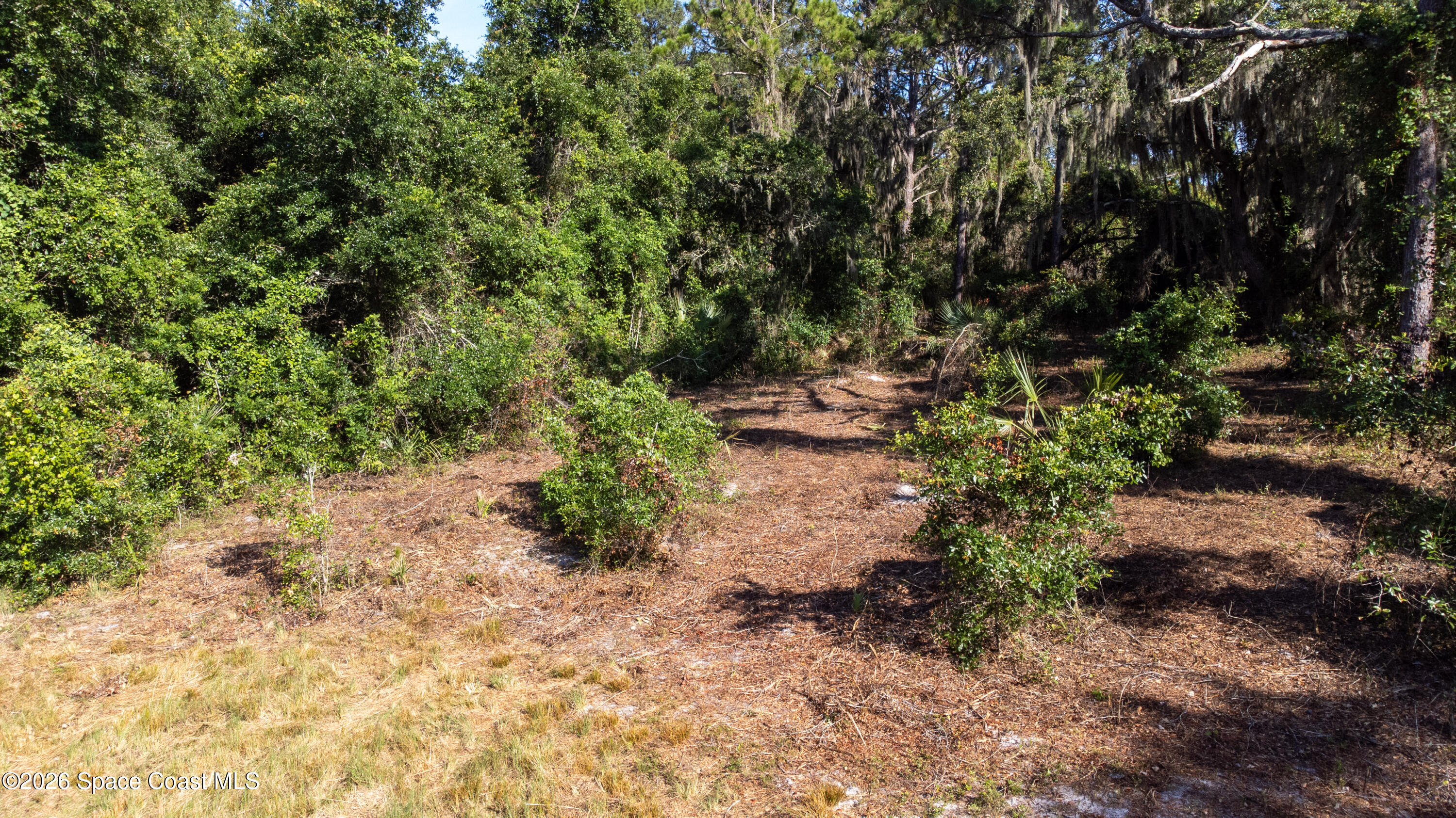 4785 Harrison Road Mims, FL 32754 - Photo 27 of 34 back pasure