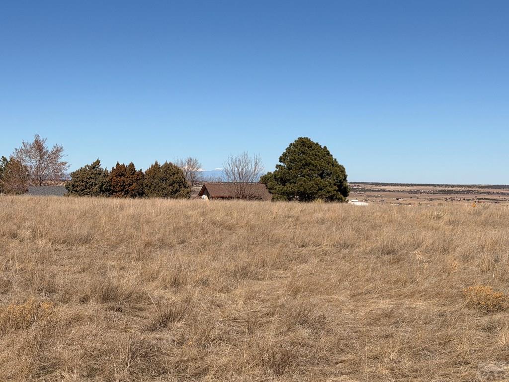 Lot 168 East Routt Street Pueblo, CO 81004 - Photo 9 of 11