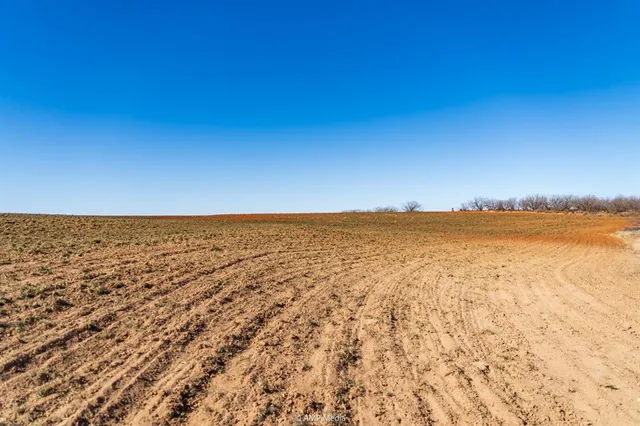 a view of river covered with tall trees