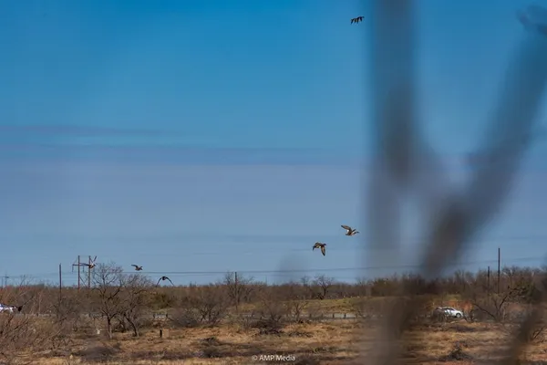 a view of a field of middle of a field