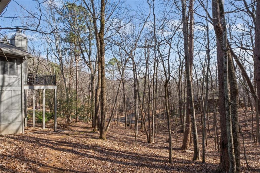 119 Soaring Hawk Circle Big Canoe, GA 30143 - Photo 36 of 50 a view of a backyard of the house