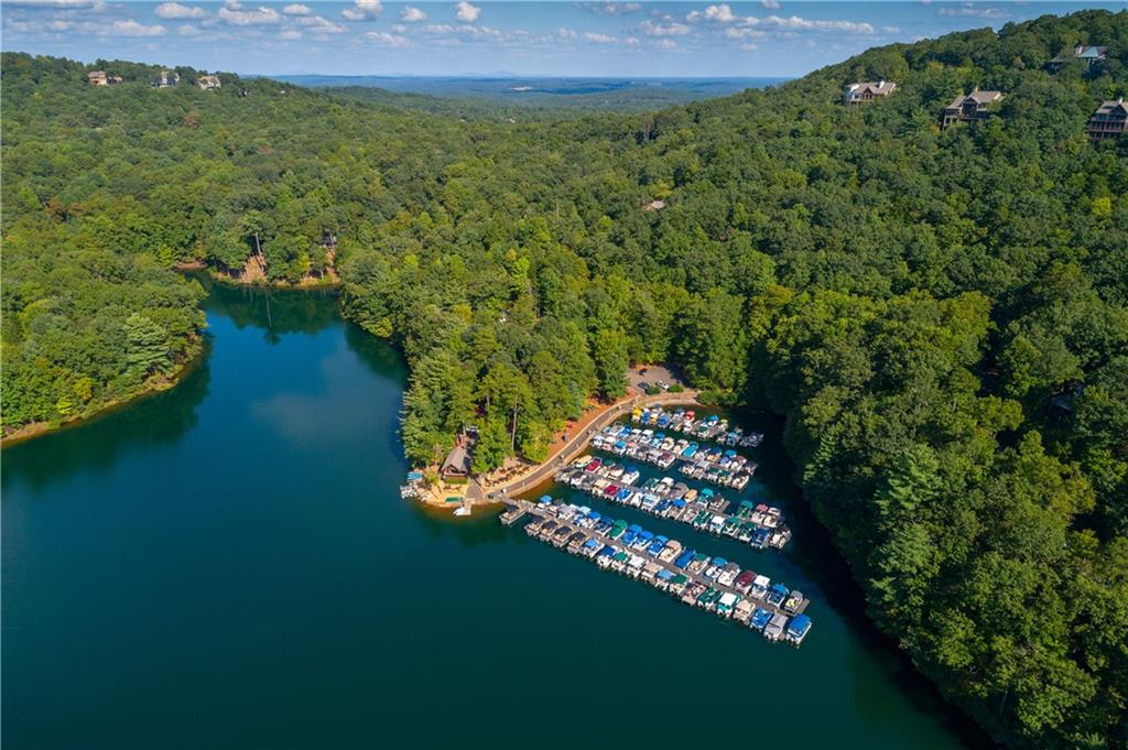 119 Soaring Hawk Circle Big Canoe, GA 30143 - Photo 47 of 50 a view of a garden