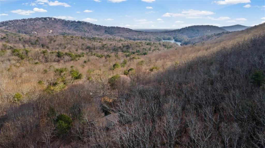 119 Soaring Hawk Circle Big Canoe, GA 30143 - Photo 5 of 50 a view of a dry yard