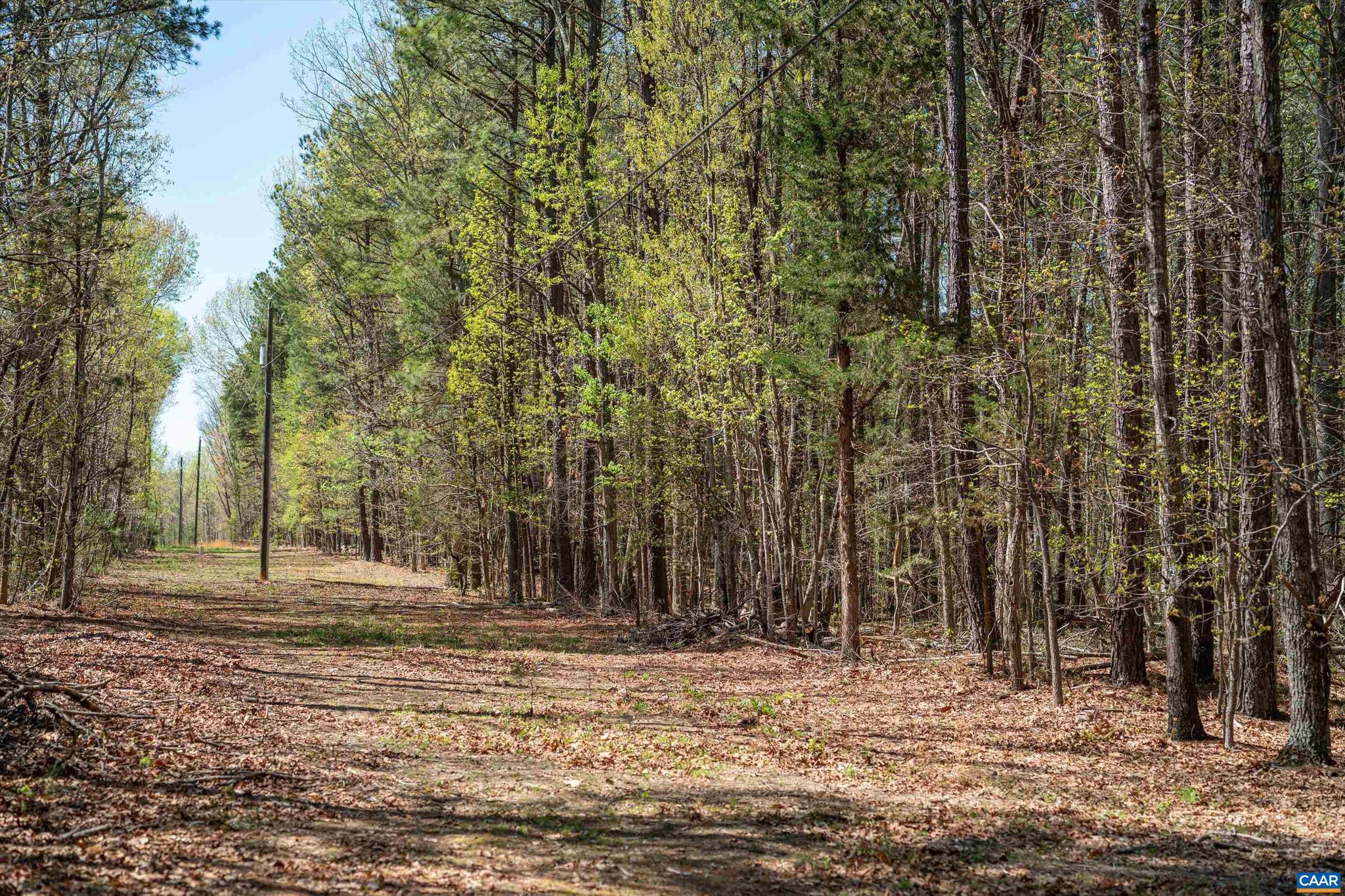 Lot 27 Martin Kings Road, Unit 7600 Charlottesville, VA 22902 - Photo 14 of 45