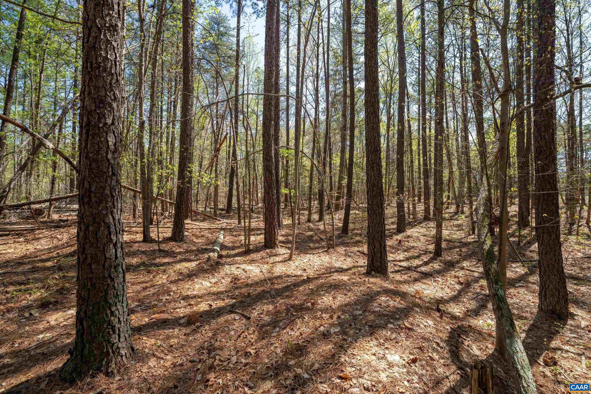 Lot 27 Martin Kings Road, Unit 7600 Charlottesville, VA 22902 - Photo 20 of 45