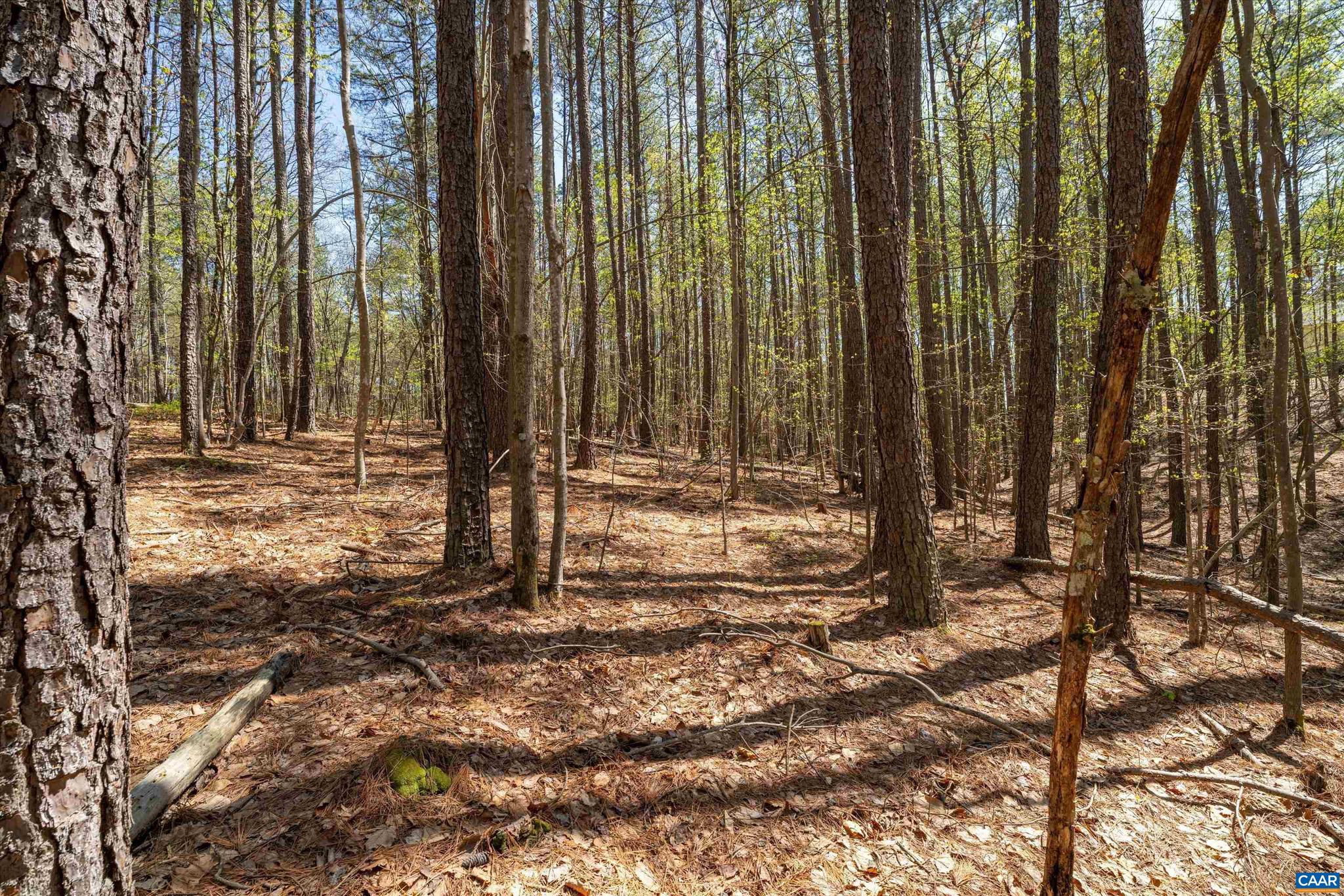Lot 27 Martin Kings Road, Unit 7600 Charlottesville, VA 22902 - Photo 26 of 45